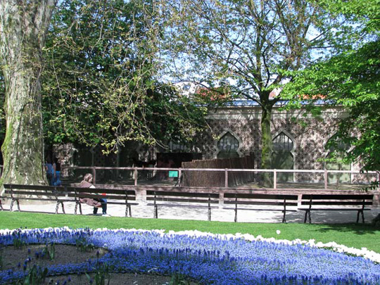 Exhibits at Antwerp Zoo