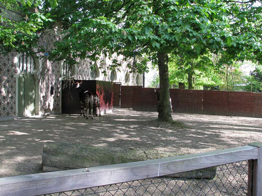 Exhibit 1 at Antwerp Zoo