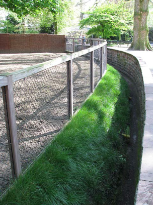 Dry moat at Antwerp Zoo