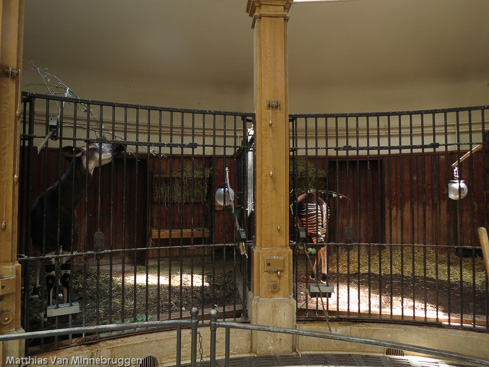 Okapi house at Basel Zoo