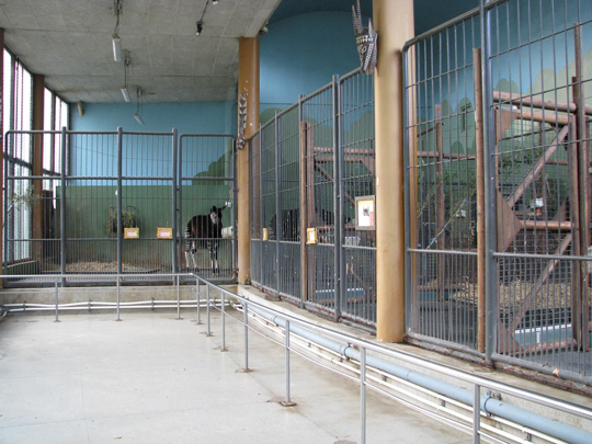 okapi house at Rotterdam Zoo